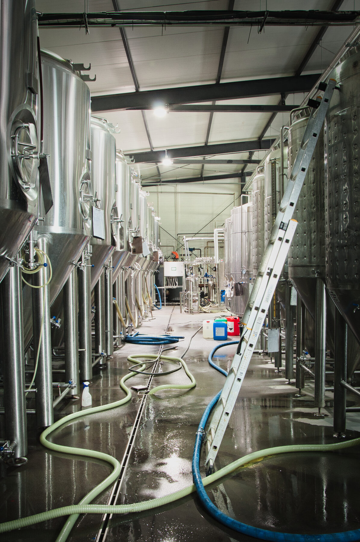 Rzędy zbiorników fermentacyjnych podczas procesu produkcji napojów