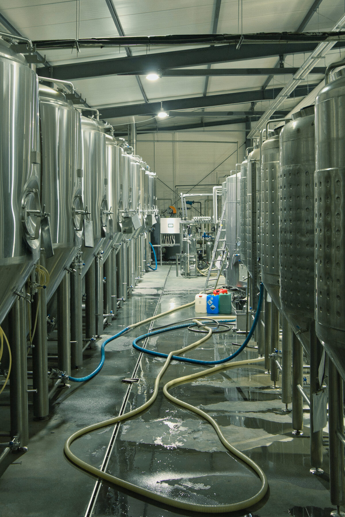 Zbiorniki fermentacyjno-leżakowe w hali produkcyjnej browaru